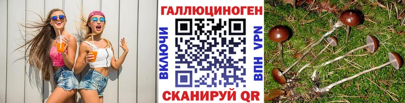 MEGA маркетплейс  Обь  Псилоцибиновые грибы ЛСД 