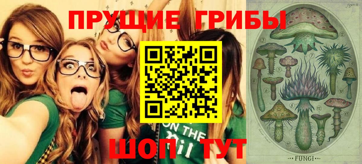 Обь  Галлюциногенные грибы Magic Shrooms  что такое наркотик  Вход с VPN  Галлюциногенные грибы Psilocybine cubensis 