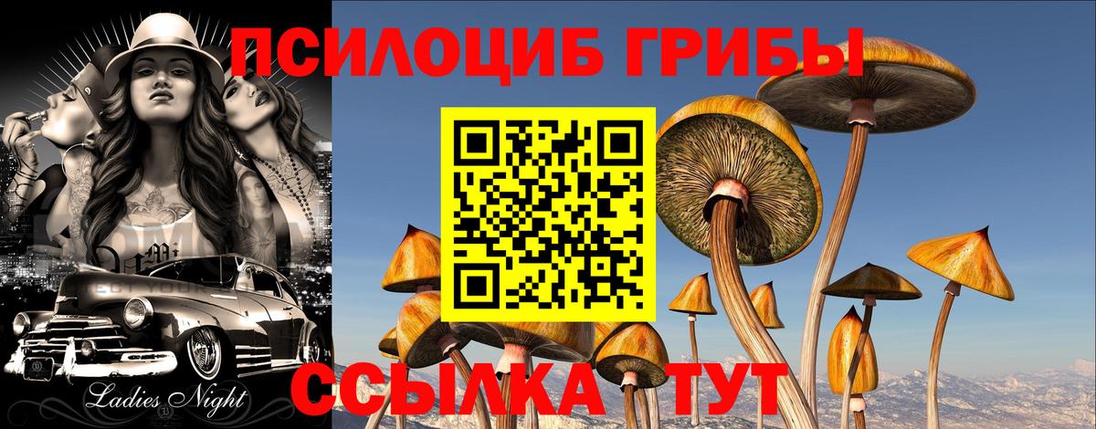 Псилоцибиновые грибы прущие грибы Обь