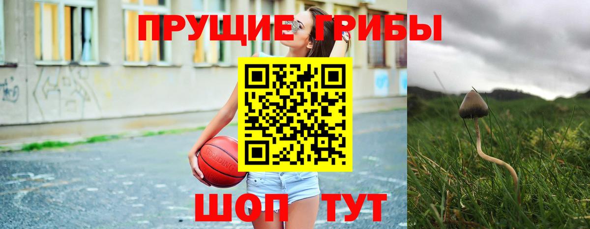Галлюциногенные грибы мицелий Обь